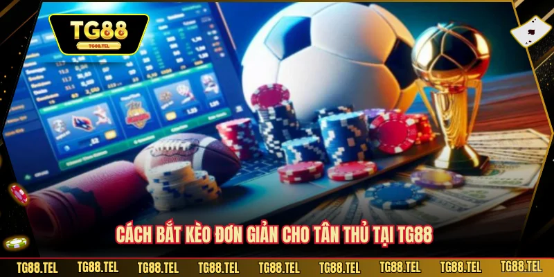 Cách bắt kèo đơn giản cho tân thủ tại TG88